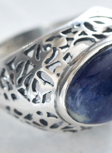 Gallatin Ring