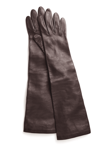 Long Leather Gloves