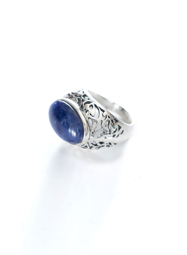 Gallatin Ring